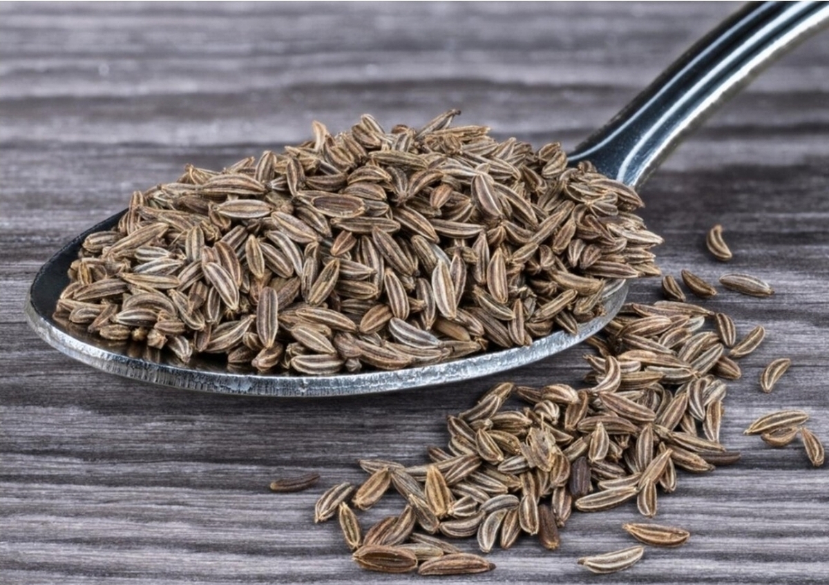 آشنایی با کاربرد زیره در غذاها| طب سنتی چه می&zwnj;گوید؟