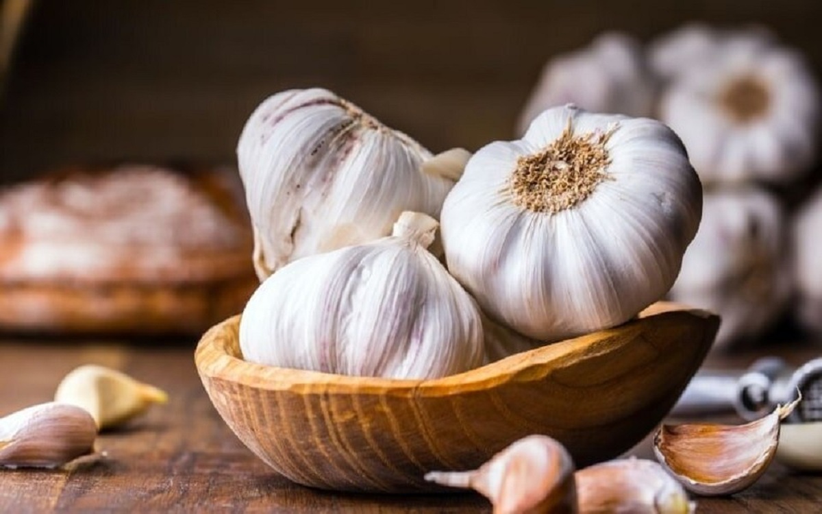 قیمت امروز میوه و تره بار در مشهد (۶ بهمن ۱۴۰۴) | سیر کیلویی چند؟