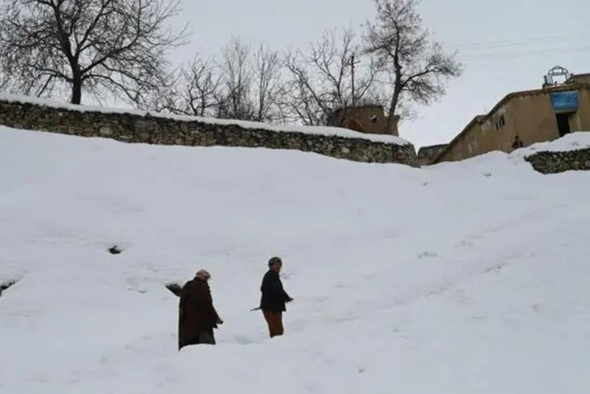 ایران جان&zwnj;باختن شماری از شهروندان افغانستان بر اثر سرما را تسلیت گفت