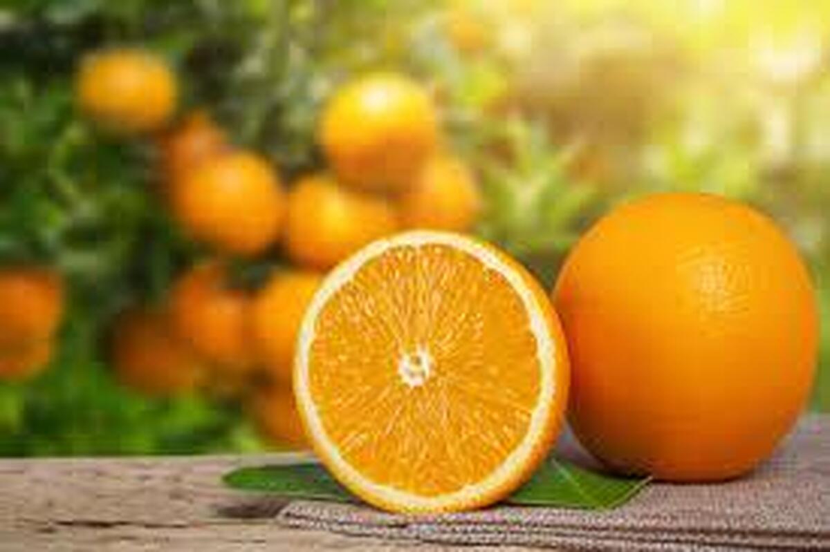 با این میوه زمستانی به جنگ افسردگی بروید