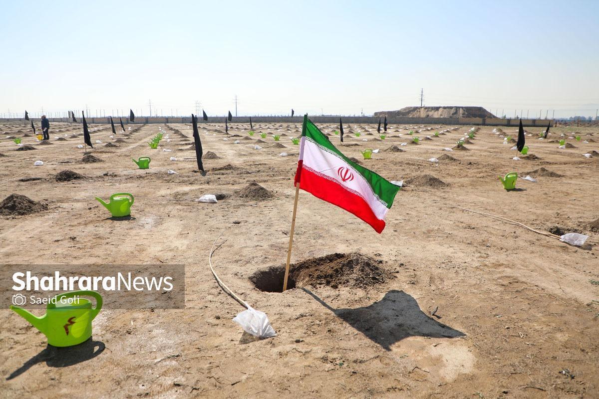 کاشت ۱۰۰۰ اصله درخت در بوستان کرامت مشهد به‌مناسبت روز درخت‌کاری ۱۴۰۴