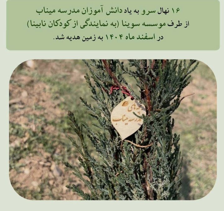 سوینا به یاد دختران میناب سرو کاشت سوینا به یاد دختران میناب سرو کاشت