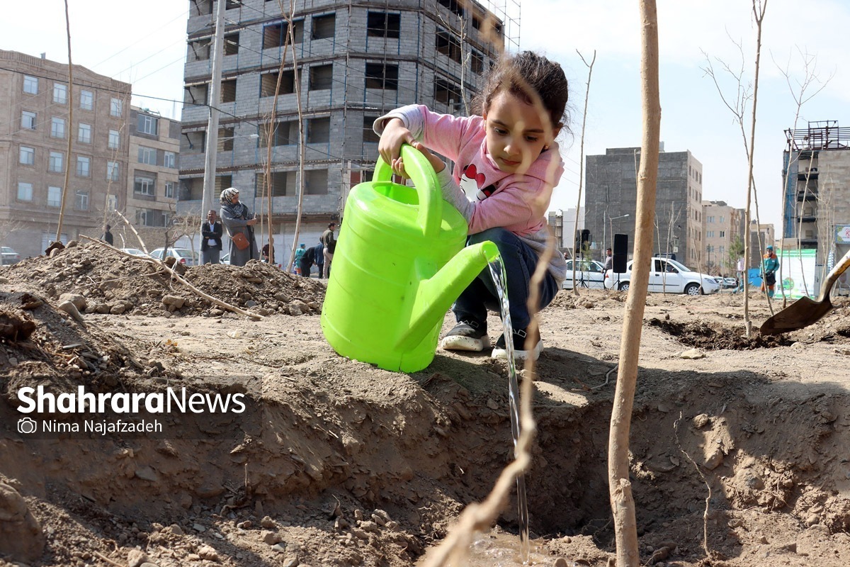 کاشت رایگان درخت مقابل منزل شهروندان مشهدی | پیش&zwnj;بینی ۳۳ هزار اصله نهال برای هفته درختکاری