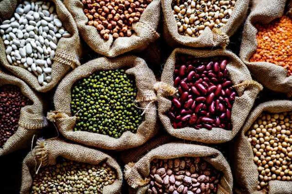 قیمت حبوبات در بازار چند؟ (۳ اسفند ۱۴۰۴)