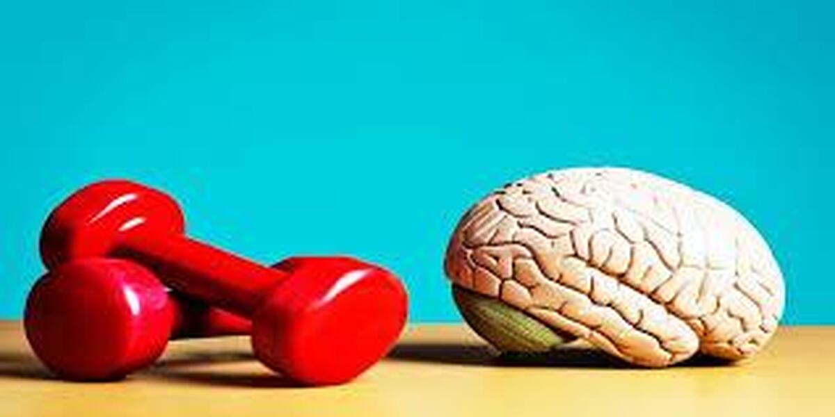 مغز بعد از یک هفته ورزش منظم چه تغییری می‌کند؟