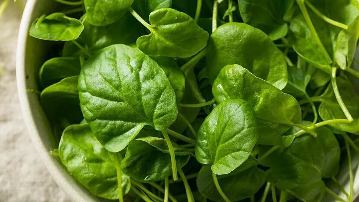 چه سبزی‌هایی را باید از وعده سحری خود حذف کنیم؟