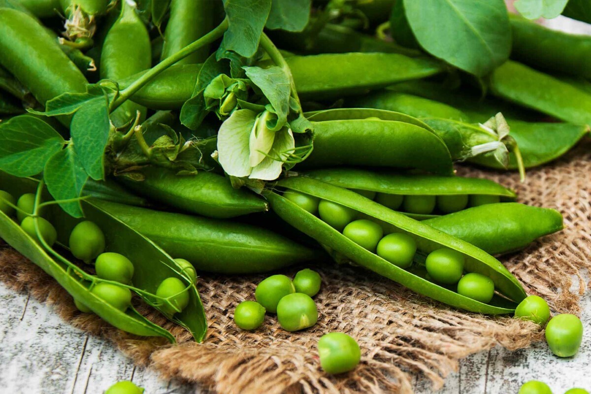 خواص فوق‌العاده نخودفرنگی برای سلامتی