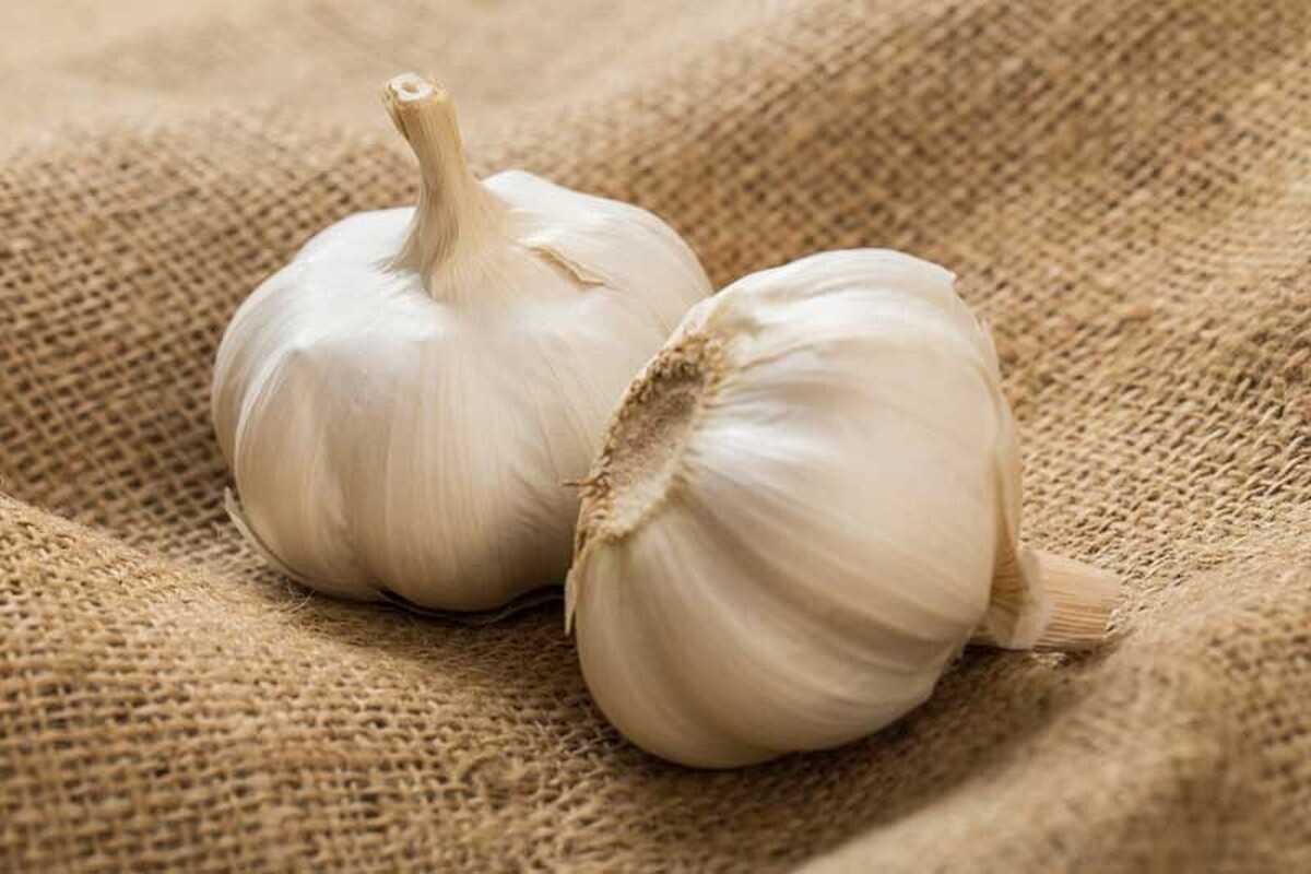 علائم آلرژی به سیر چیست؟