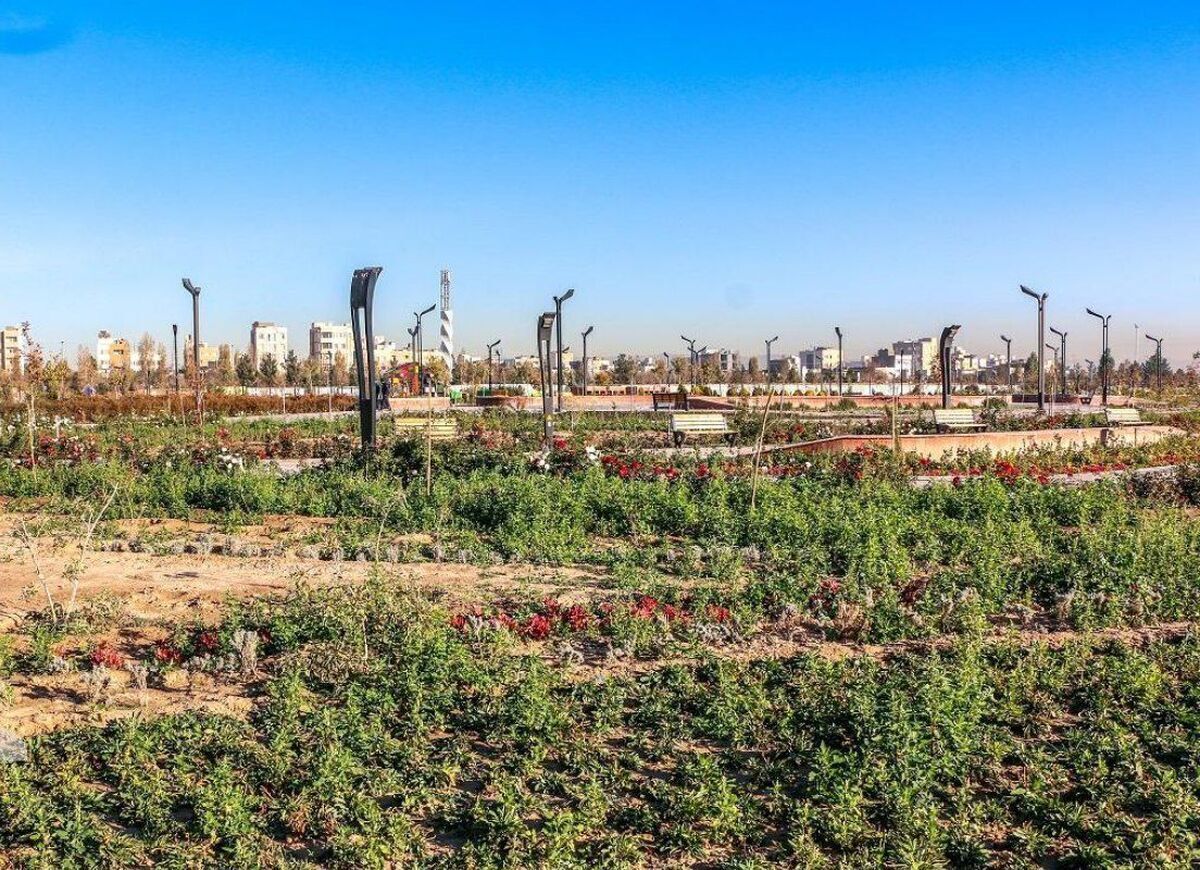آغاز عملیات اجرایی پروژه باغ رویش در مشهد (۱۳ اردیبهشت ۱۴۰۴)
