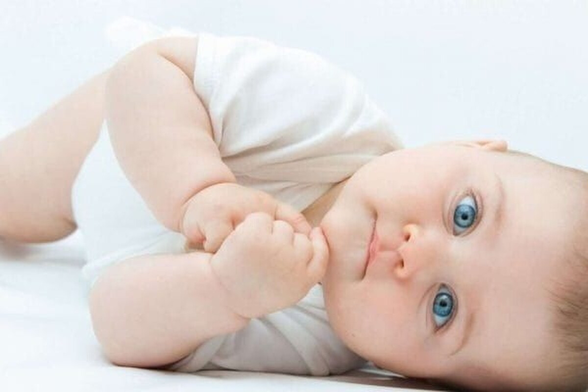 آمار تولد نوزادان ایرانی در سال ۱۴۰۳ چقدر اعلام شده است؟
