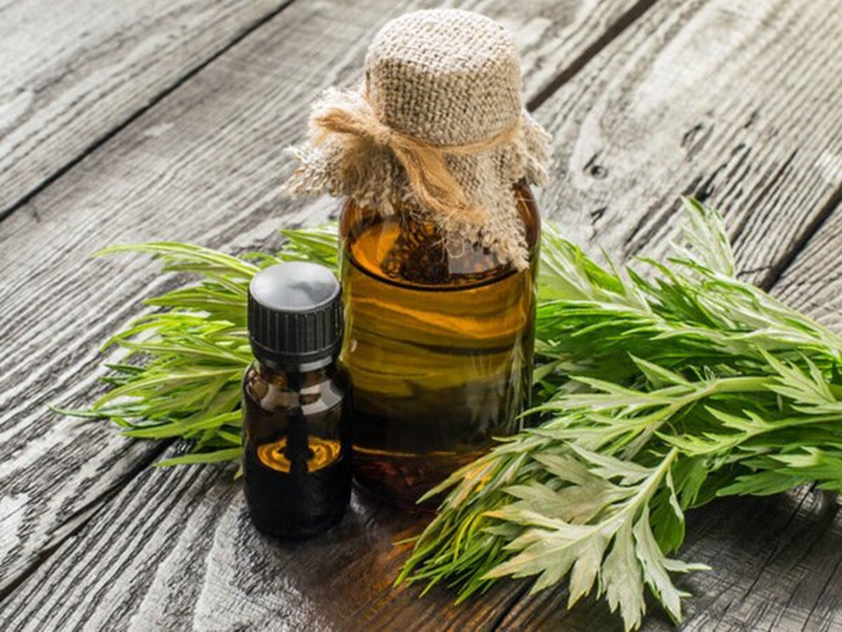 خطر آلودگی روغن‌های سنتی فاقد نشان سیب سلامت