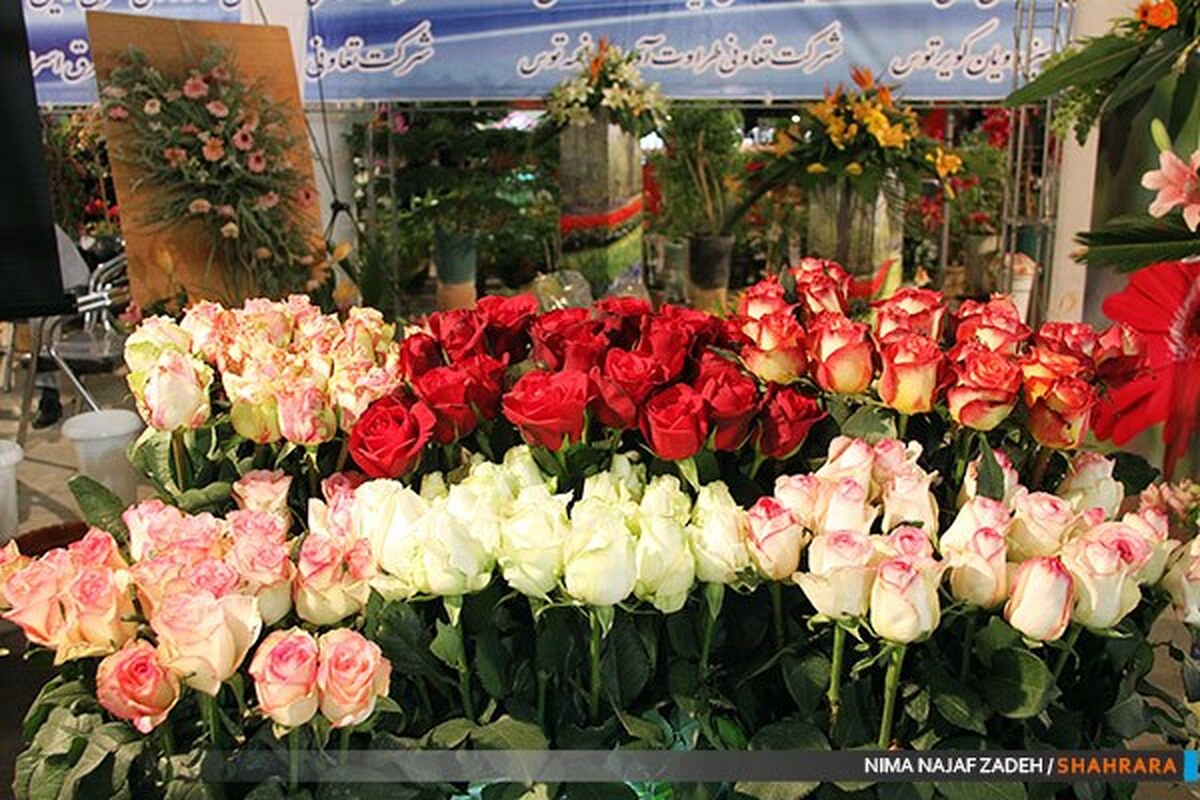 مدیرعامل سازمان پارک‌ها و فضای سبز شهرداری مشهد گفت: نمایشگاه گل و گیاه مشهد یکی از قدیمی‌ترین و معتبرترین نمایشگاه‌های این حوزه در کشور محسوب می‌شود. این نمایشگاه به نوعی برند شهر مشهد است.