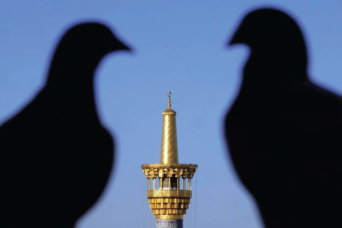 ۸ دقیقه تا بهشت