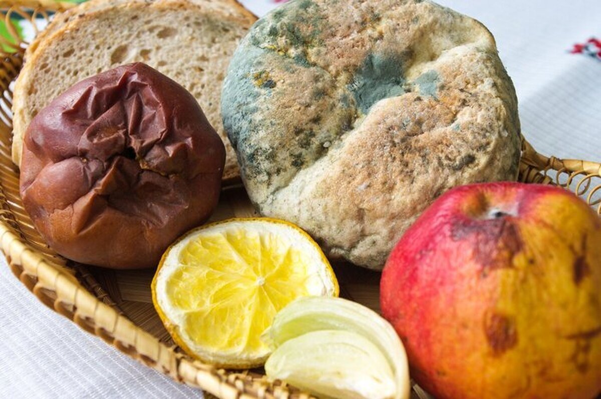 برخی از ما و شاید حتی بیشتر ما عادت داریم بخش‌های کپک زده مواد غذایی را برداریم و بقیه آنرا بخوریم، در حالیکه کارشناسان تغذیه معتقدند باید تمام غذای کپک زده را دور ریخت و هیچ قسمتی را نخورد حتی اگر کپک فقط در بخشی از آن دیده شود، چرا که احتمال پخش سموم در سراسر ماده غذایی وجود دارد.