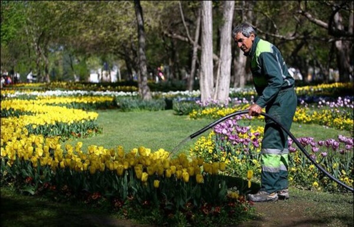 مدیرکل بهبود محیط زیست شهری شهرداری مشهد گفت: تأمین آب موردنیاز فضای سبز مشهد با محوریت حداکثر بهره‌وری از منابع موجود، تأمین آب از منابع جدید و تمرکز بر استفاده از منابع غیرکیفی و پساب در حال انجام است.
