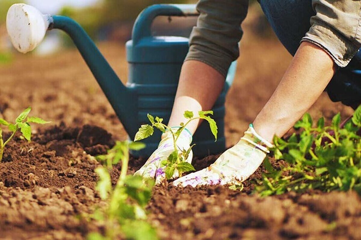 فعالیت ستاد احیای دریاچه ارومیه با محوریت معاون اول رئیس جمهور