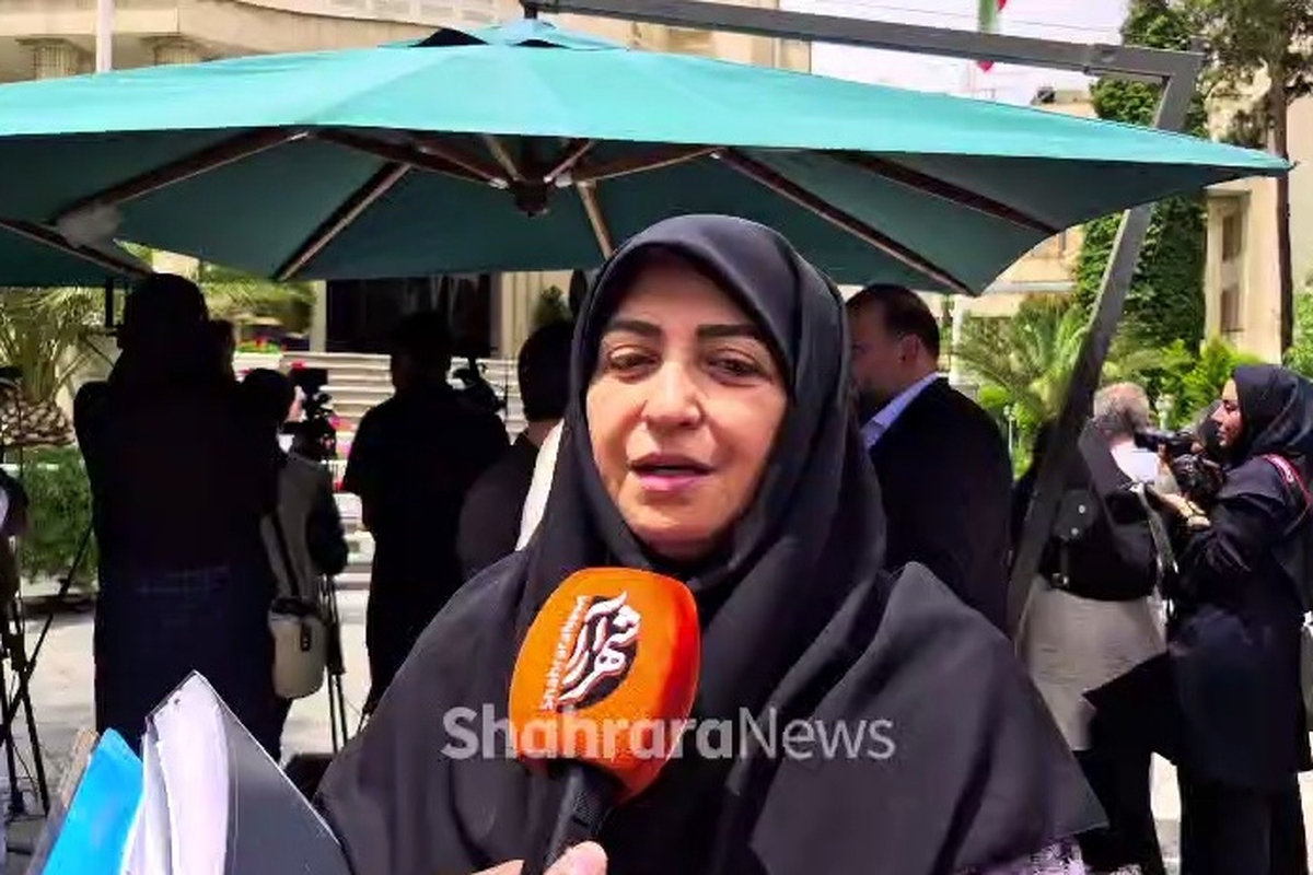 رئیس سازمان محیط زیست: موضوع گردوغبار سرخس در دستورکار ماست + فیلم