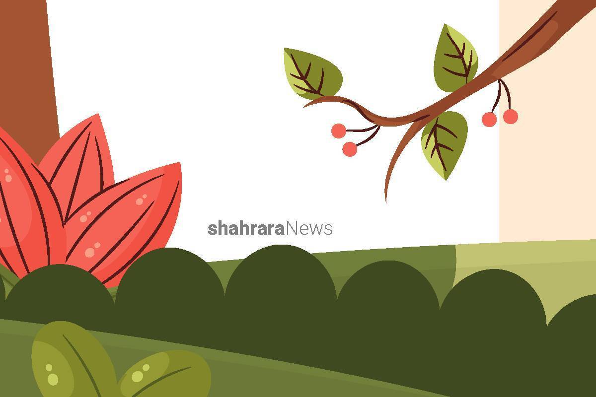 اخلاقش مانند مادرهاست؛ می‌خواهد همه‌چیز سالم و سرحال باشد.