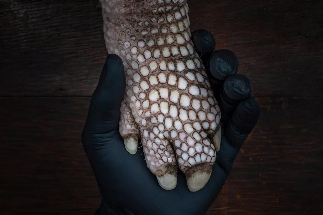 برندگان مسابقه عکاسی محیطزیست ۲۰۲۵ + شرح عکسها برندگان مسابقه عکاسی محیطزیست ۲۰۲۵ + شرح عکسها