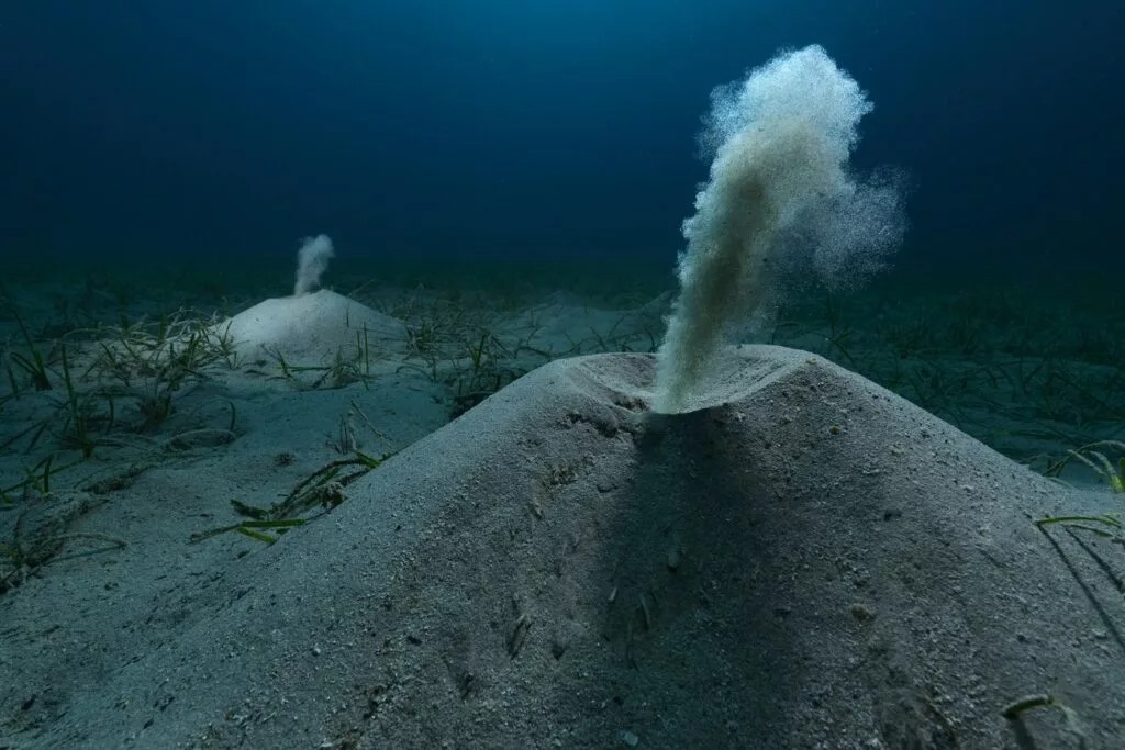 برندگان مسابقه عکاسی محیطزیست ۲۰۲۵ + شرح عکسها برندگان مسابقه عکاسی محیطزیست ۲۰۲۵ + شرح عکسها