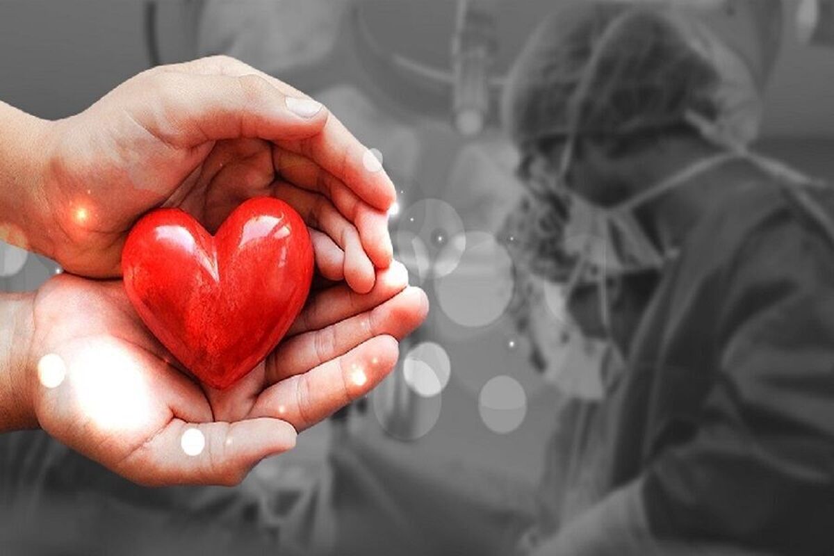 یک هزار و ۶۵۰ اهداکننده مرگ مغزی در مشهد به بیش از ۷ هزار بیمار زندگی دوباره بخشیدند
