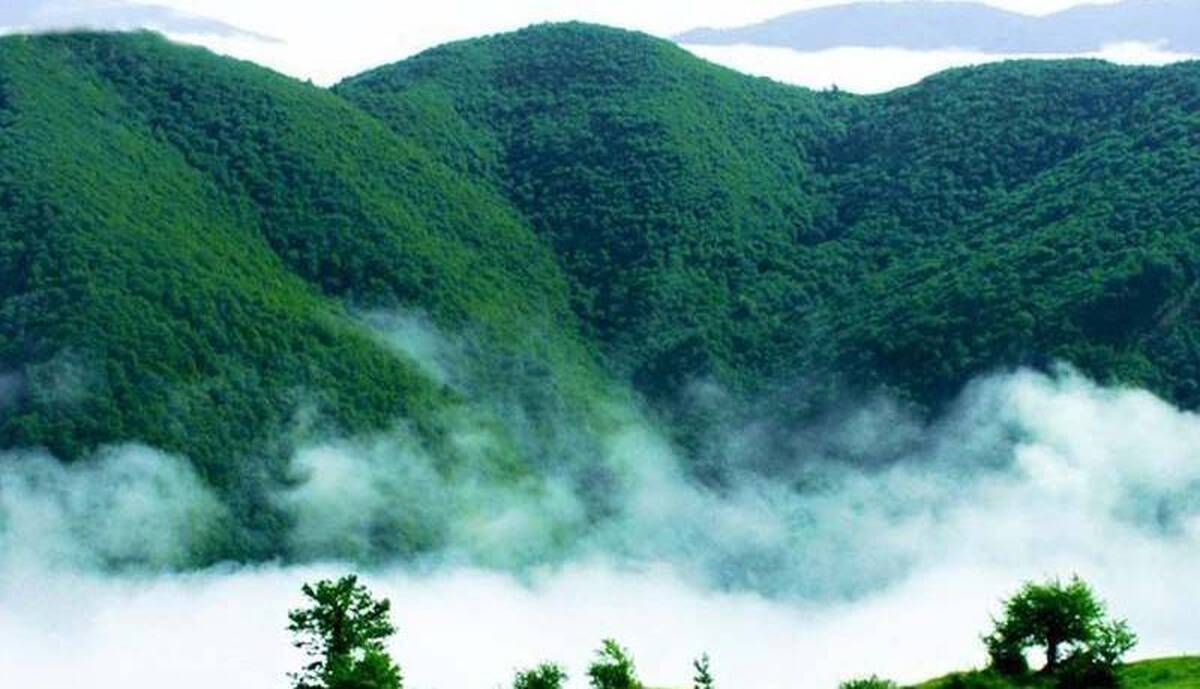 مدیرکل حفاظت محیط‌زیست استان سمنان از کسب دو رتبه برتر کشوری توسط موزه تاریخ طبیعی و تنوع‌زیستی سمنان در ارزیابی سالانه کمیته ملی موزه‌های ایران (ایکوم) خبر داد.