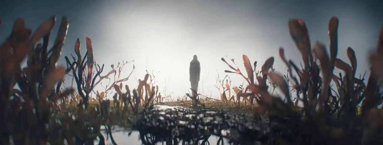 ویدئو | تغییر در تیتراژ ابتدایی سریال The Last of Us بعد از اتفاقات دردناک قسمت دوم! ویدئو | تغییر در تیتراژ ابتدایی سریال The Last of Us بعد از اتفاقات دردناک قسمت دوم!