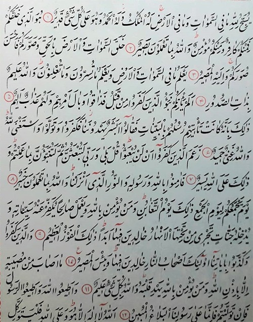 استاد ارشد انجمن استاد ارشد انجمن