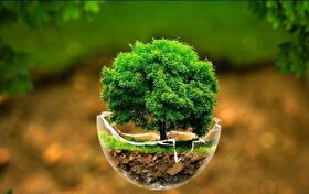 پروتکل مونترال از پروژه‌های زیست‌محیطی ایران حمایت مالی می‌کند