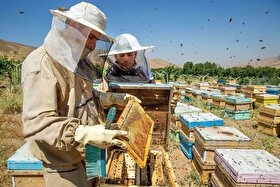 حمایت ۱۷هزار میلیارد ریالی کمیته امداد امام خمینی (ره) خراسان رضوی در بخش اشتغال