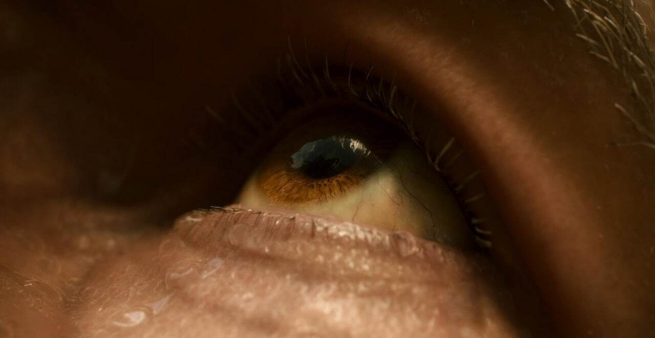 معرفی ۱۰ قسمت برتر سریال love death & robots بر اساس رتبه imdb معرفی ۱۰ قسمت برتر سریال love death & robots بر اساس رتبه imdb