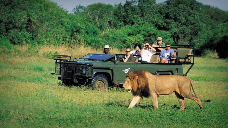 چرا آفریقای جنوبی مقصدی است که هرگز از خاطر شما محو نمیشود؟ چرا آفریقای جنوبی مقصدی است که هرگز از خاطر شما محو نمیشود؟
