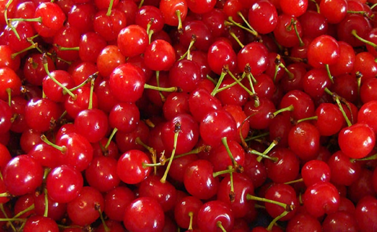 اتحادیه بارفروشان مشهد نرخ عمده‌فروشی میوه و صیفی‌جات در میادین تره‌بار سطح شهر را اعلام کرد.