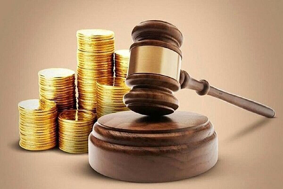 پیشنهاد مهریه ۱۴سکه‌ای به‌معنای اجبار یا سقف قانونی نیست