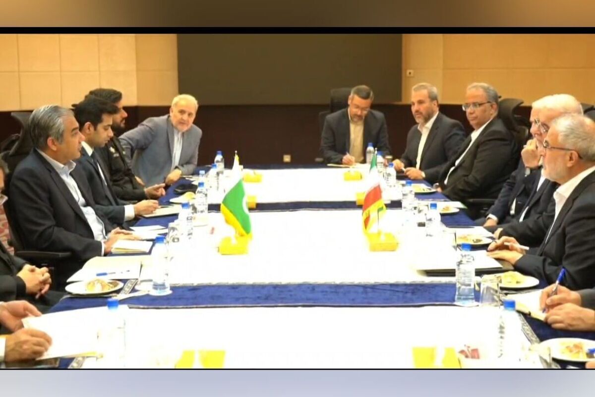 همکاری مشترک ایران، پاکستان و عراق برای مدیریت سفرهای اربعین