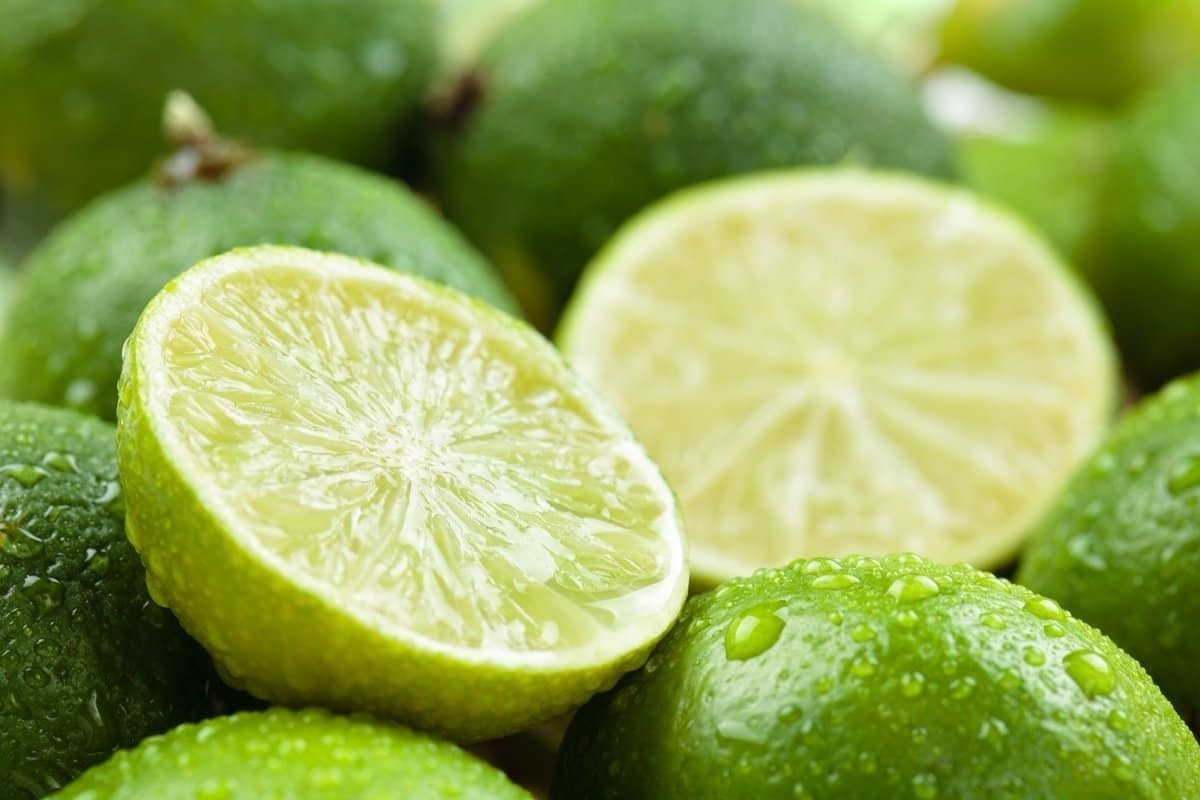 اتحادیه بارفروشان مشهد قیمت میوه و صیفی‌جات در میادین تره‌بار به صورت عمده‌فروشی را اعلام کرد.