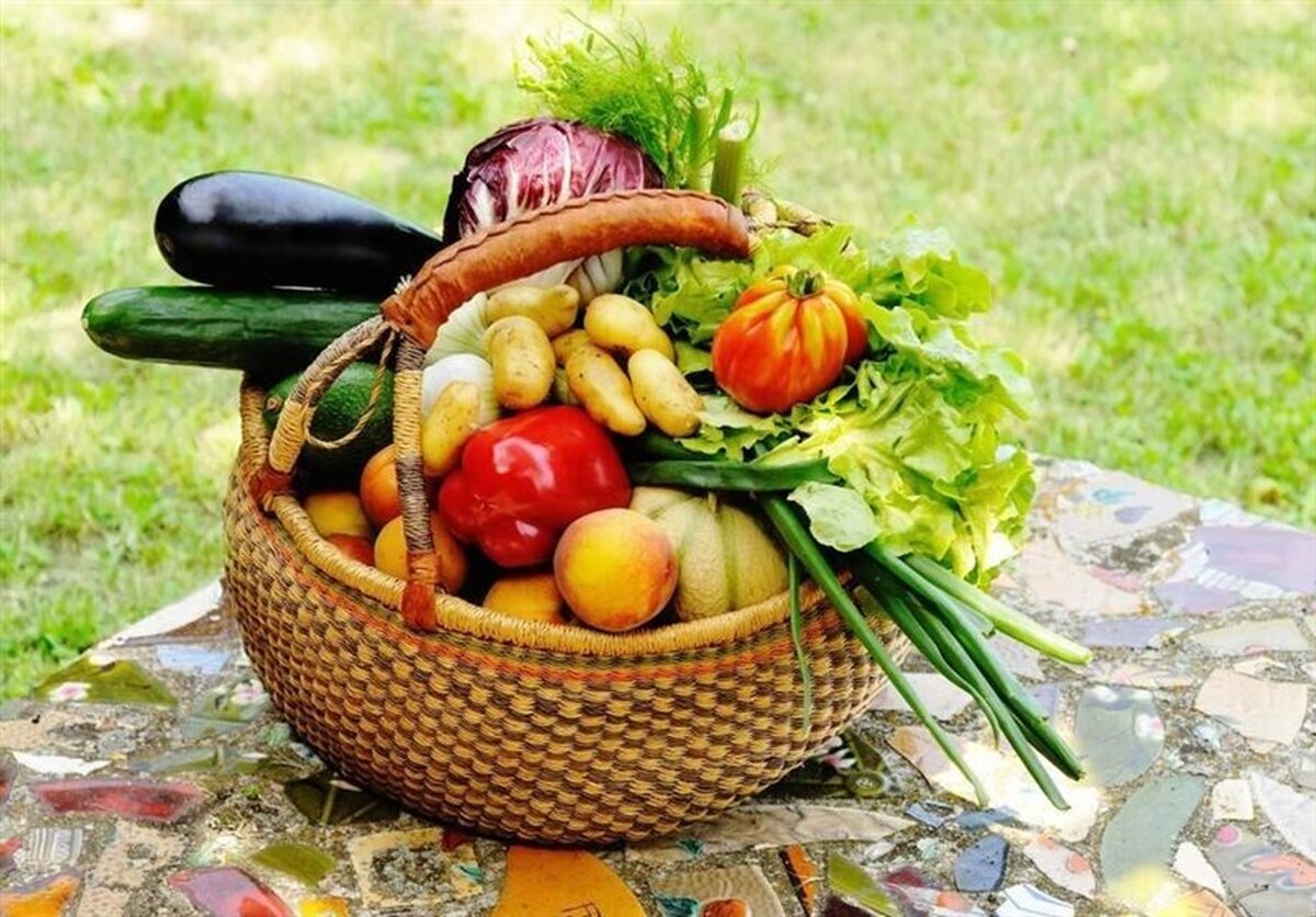 رئیس مرکز مدیریت بیماری‌های واگیر وزارت بهداشت با بیان این‌که میوه‌جات و سبزی‌های آلوده به مدفوع سگ و گربه و حیوانات وحشی می‌تواند موجب انتقال آلودگی‌های انگلی به انسان شود، گفت: مصرف لبنیات غیرپاستوریزه می‌تواند موجب ابتلا به تب مالت شود.