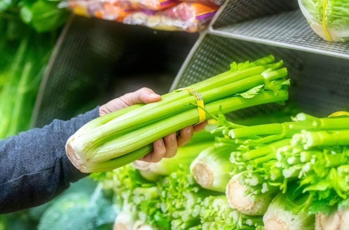 اتحادیه بارفروشان مشهد قیمت عمده‌فروشی میوه و صیفی‌جات در میادین تره‌بار را اعلام کرد.