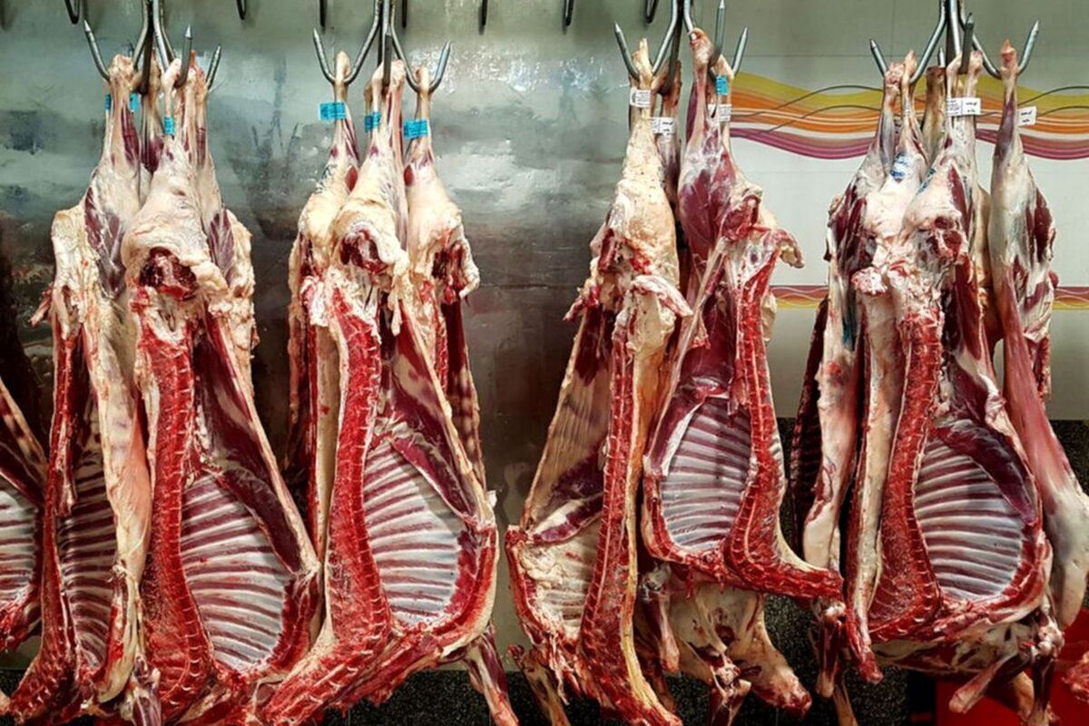 در این مطلب به بررسی قیمت گوشت گوسفندی، گوساله و مرغ را بررسی می‌کنیم.