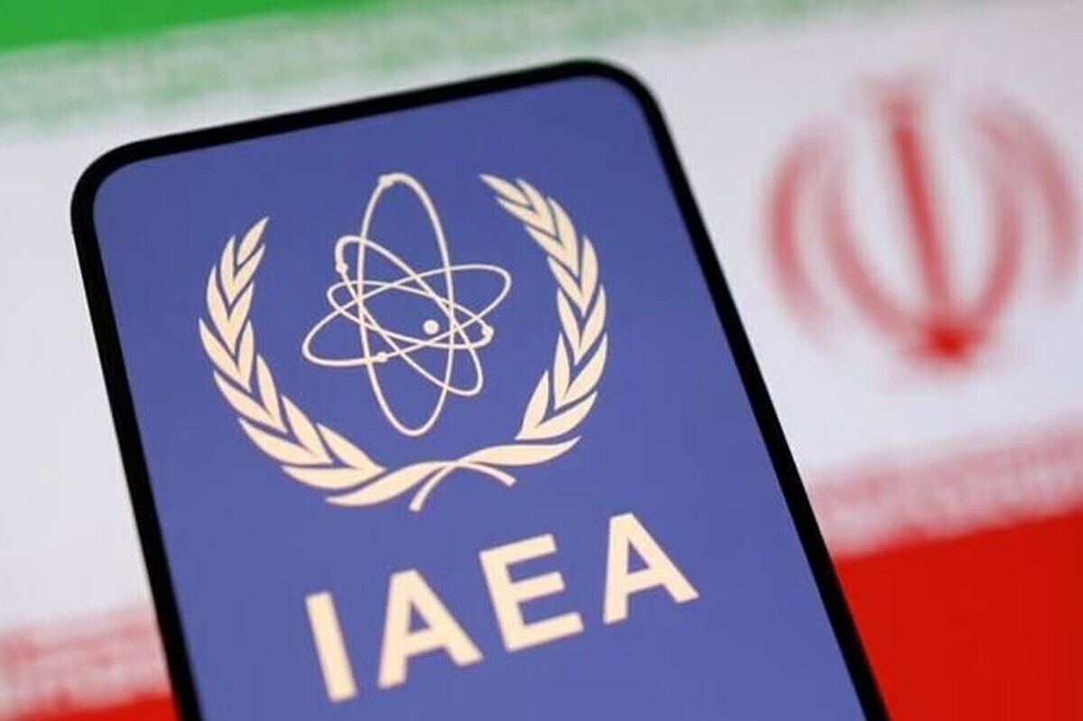 نایب رئیس کمیسیون امنیت ملی مجلس از کشف ریزتراشه‌های مشکوک در کفش بازرسان آژانس بین‌المللی انرژی اتمی خبر داد و گفت: چرا وقتی بازرسان آژانس در مراکز هسته‌ای ما حضور پیدا می‌کنند و بازرسی بدنی می‌شوند، در کفش‌شان ریزتراشه پیدا می‌شود؟