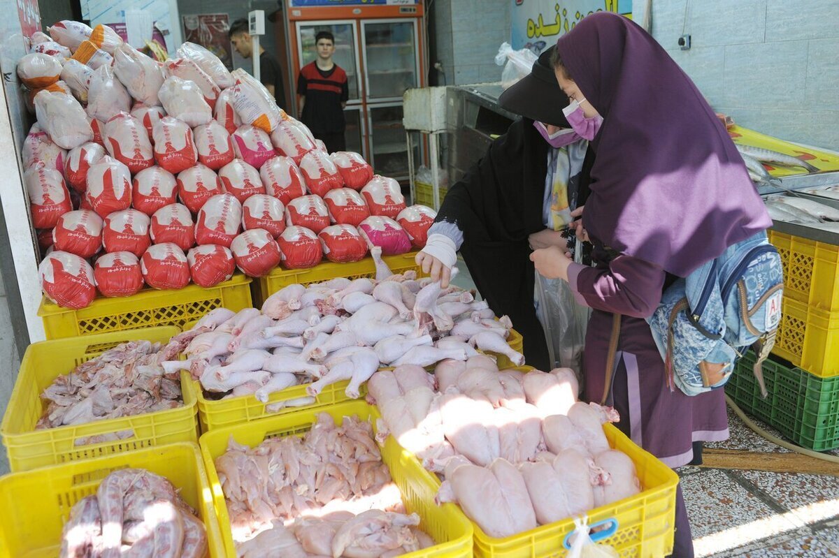 در این مطلب به بررسی قیمت گوشت گوسفندی، گوساله و مرغ را بررسی می‌کنیم.