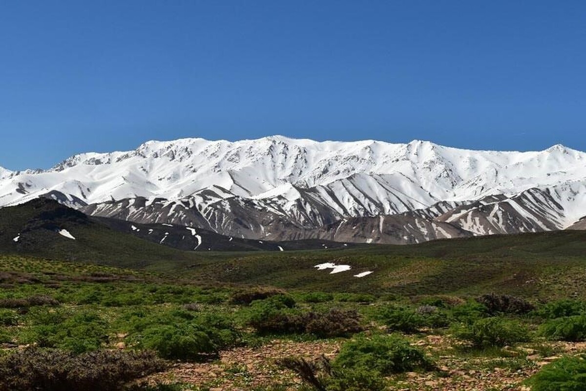 قالی کوه با ارتفاع ۴۰۵۵ متر یکی از کوه‌های بلند الیگودرز به شمار می‌آید که در طول مسیر صعود باید از میان درختان سرو کوهی (اُرس) گذشت تا به قله رسید.