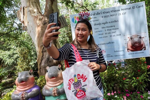 هجوم طرفداران به جشن تولد اسبآبی مشهور در تایلند هجوم طرفداران به جشن تولد اسبآبی مشهور در تایلند