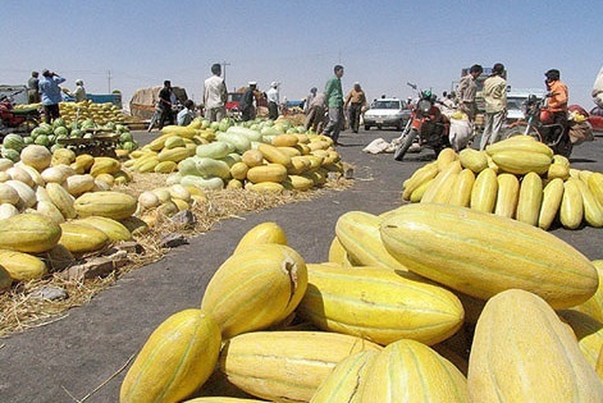 اتحادیه بارفروشان مشهد قیمت عمده‌فروشی میوه و صیفی‌جات در میادین تره‌بار را اعلام کرد.