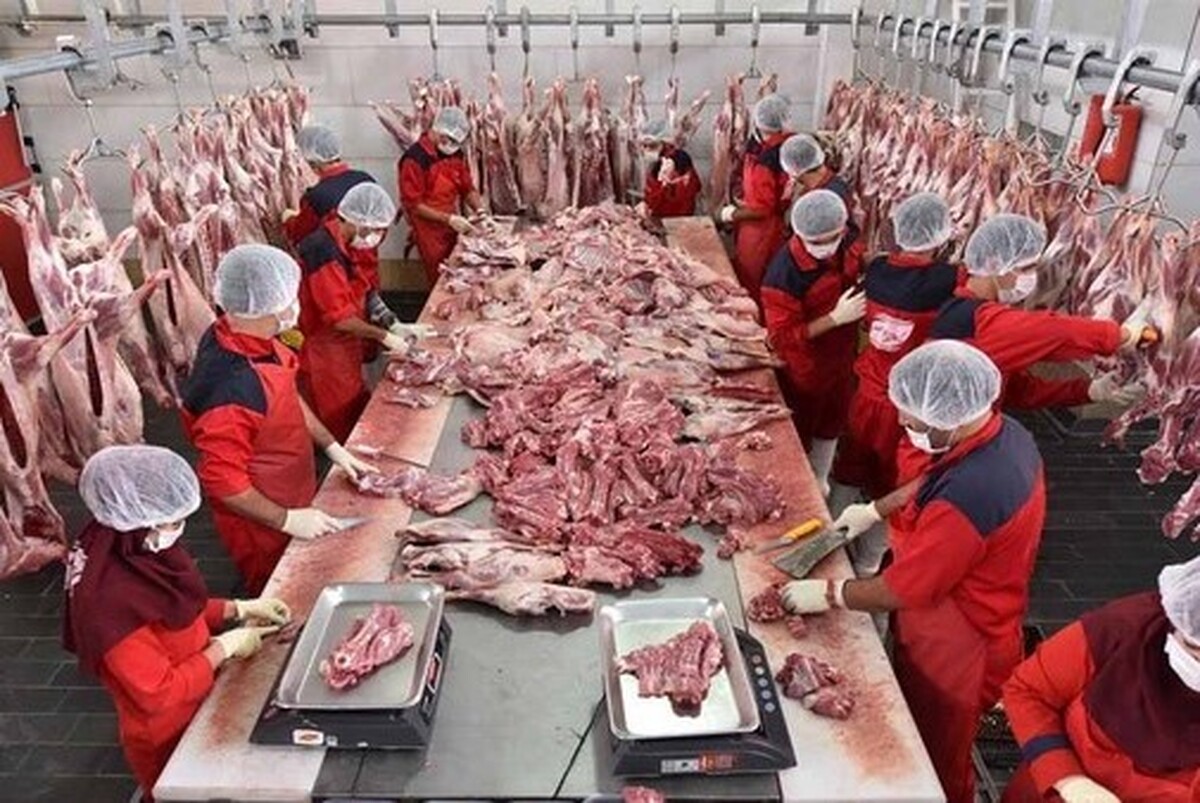 مشکلات واردات گوشت از برزیل، میل به واردات گوشت از پاکستان را بیشتر کرده است.
