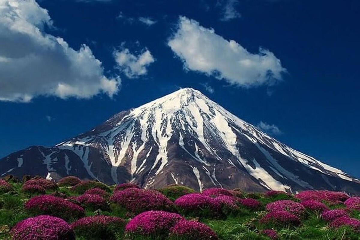 در واکنش به حمله رژیم صهیونیستی به ایران، هنرمندان با زبان موسیقی فریاد اعتراض و مقاومت سر دادند و موجب دلگرمی مردم شدند.