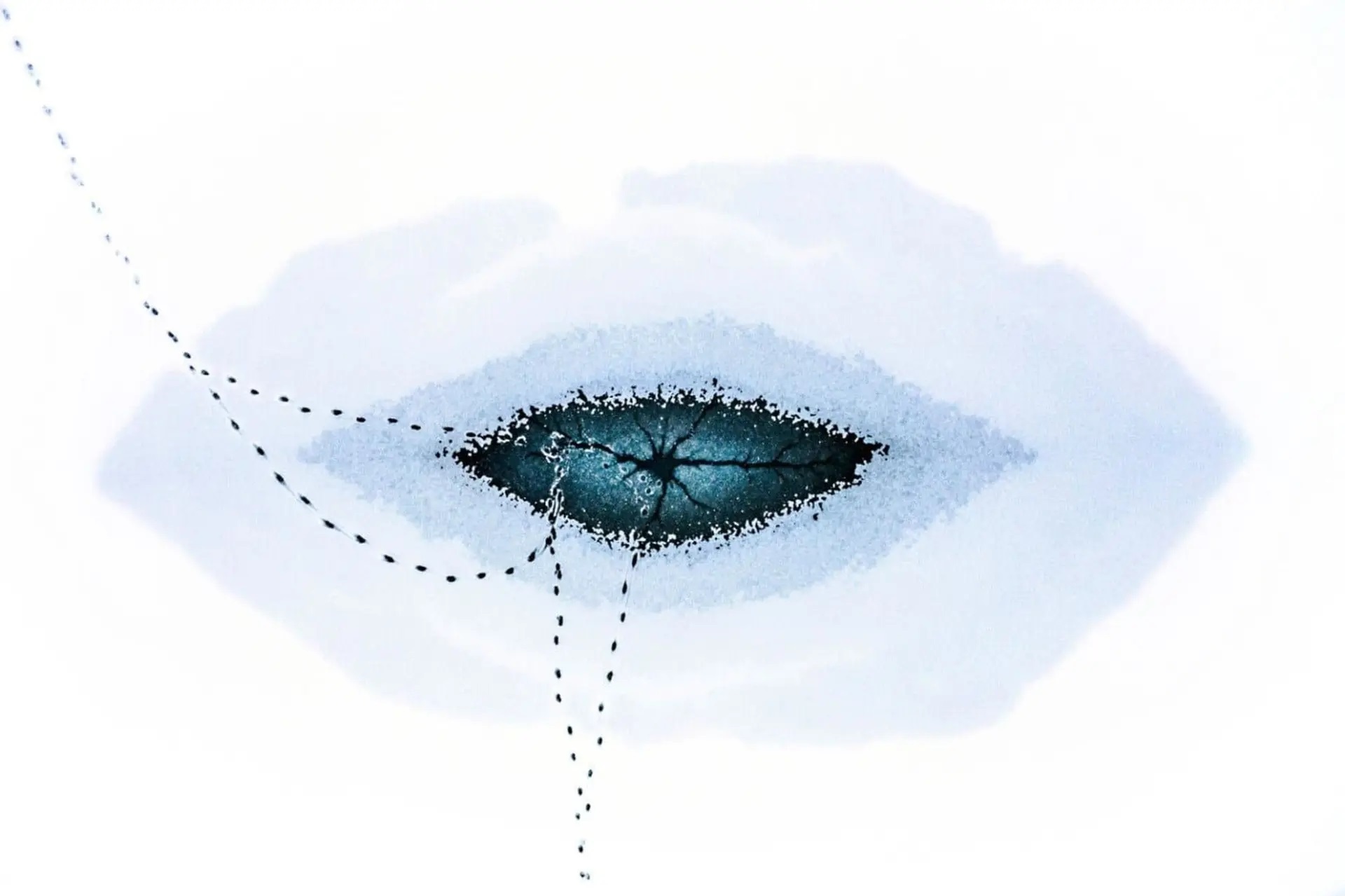 برناگان رقابت بزرگ عکاسی طبیعت ۲۰۲۵ معرفی شدند + عکس و توضیحات برناگان رقابت بزرگ عکاسی طبیعت ۲۰۲۵ معرفی شدند + عکس و توضیحات