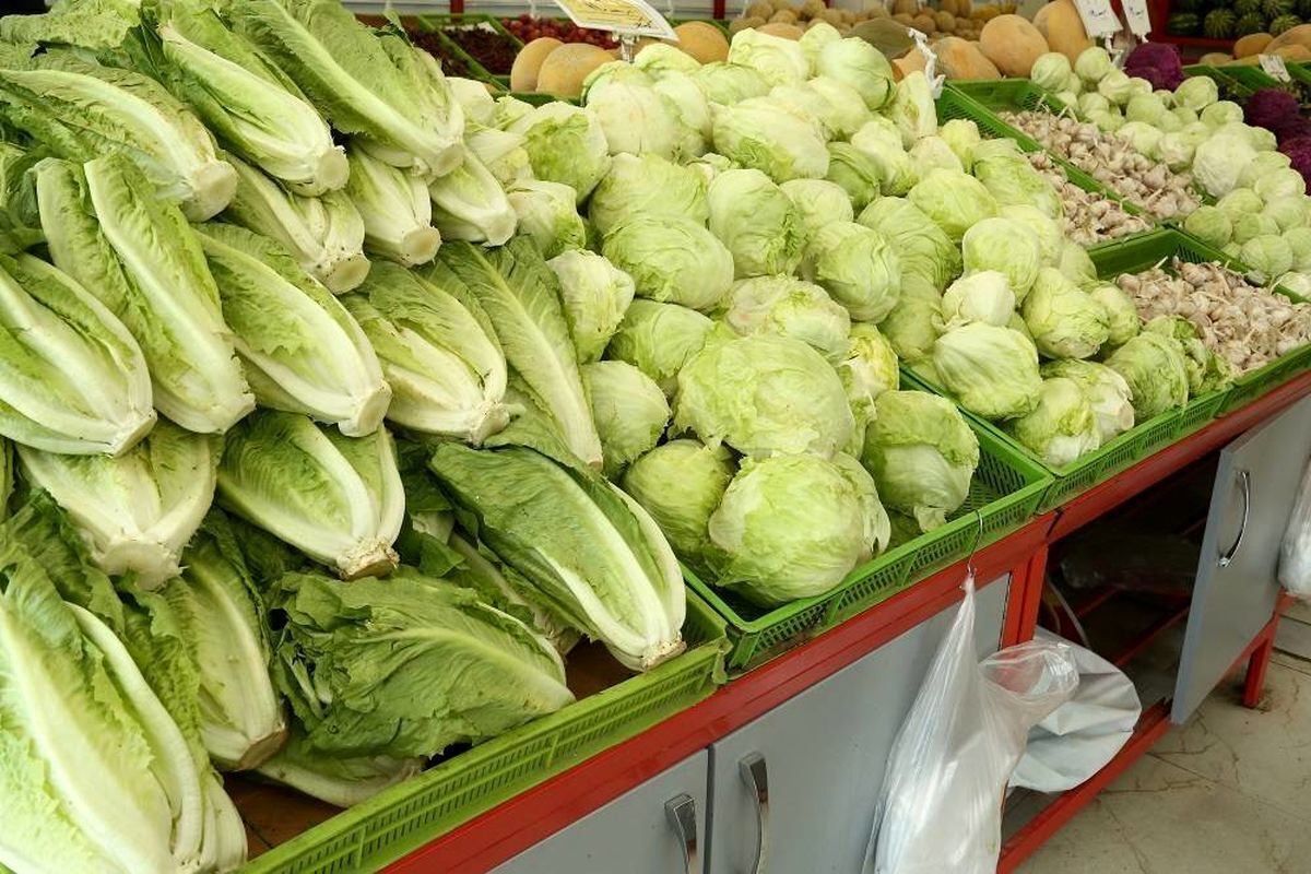 اتحادیه بارفروشان مشهد امروز، قیمت عمده‌فروشی میوه و صیفی‌جات در میادین تره‌بار این شهر را اعلام کرد.
