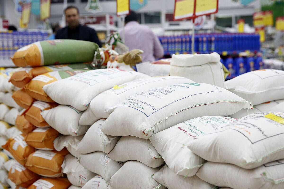 رئیس سازمان جهاد کشاورزی استان تهران از پایداری وضعیت تأمین و عرضه کالاهای اساسی از جمله اقلام پروتئینی در پایتخت خبر داد و تأکید کرد: با تلاش شبانه‌روزی و هماهنگی دستگاه‌های مرتبط، هیچ کمبودی در بازار وجود ندارد و نظارت مستمر برای جلوگیری از گرانفروشی ادامه دارد و همچنین با همکاری کشتارگاه‌ها، نیازهای ماه محرم نیز در زمان لازم تأمین خواهد شد.