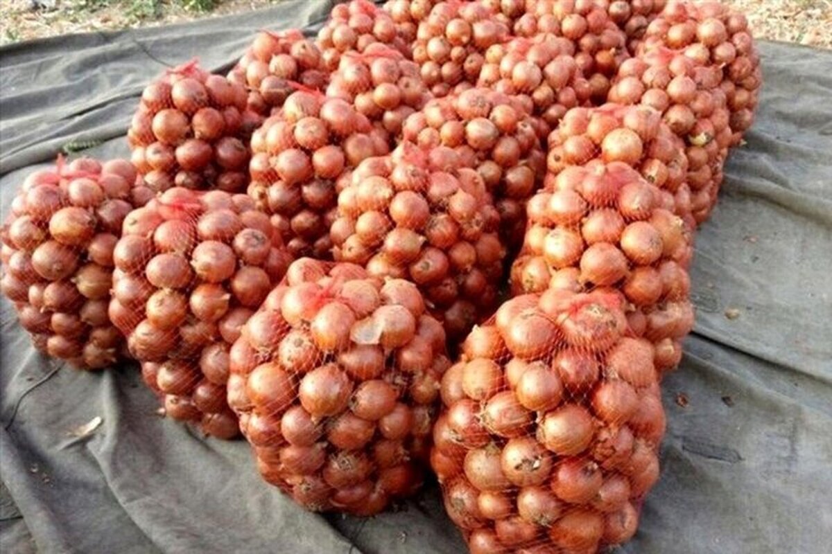 اتحادیه بارفروشان مشهد قیمت عمده‌فروشی میوه و صیفی‌جات در میادین تره‌بار را اعلام کرد.